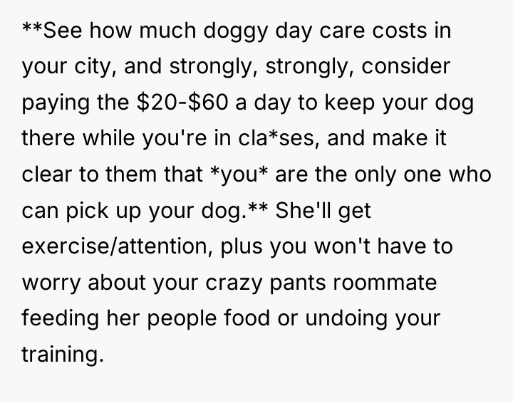 **See how much doggy day care costs in your city,...