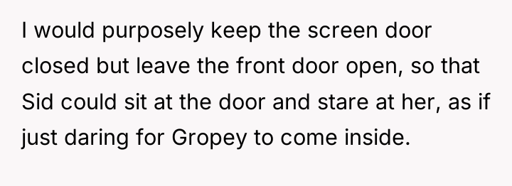 I would purposely keep the screen door closed but leave...