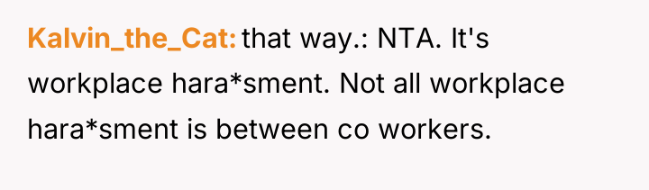 Kalvin_the_Cat that way.: NTA. It's workplace hara*sment. Not all workplace...