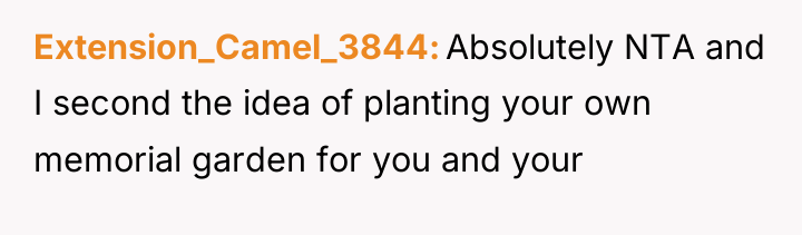 Extension_Camel_3844 Absolutely NTA and I second the idea of planting...