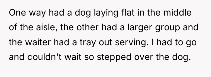 One way had a dog laying flat in the middle...