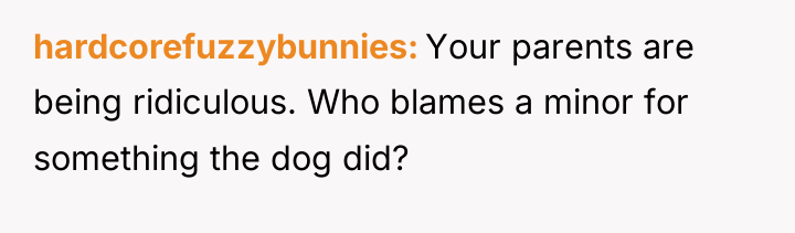 hardcorefuzzybunnies Your parents are being ridiculous. Who blames a minor...