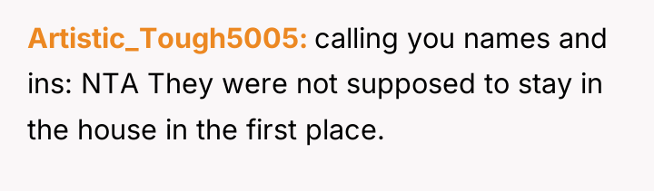 Artistic_Tough5005 calling you names and ins: NTA They were not...