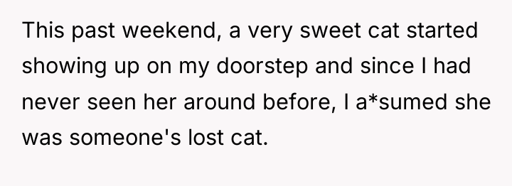 This past weekend, a very sweet cat started showing up...