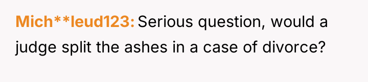 Mich**leud123 Serious question, would a judge split the ashes in...