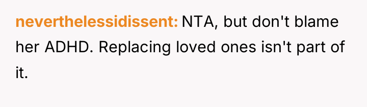 neverthelessidissent NTA, but don't blame her ADHD. Replacing loved ones...