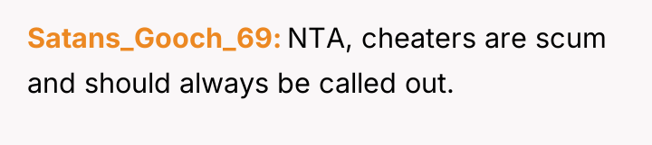 Satans_Gooch_69 NTA, cheaters are scum and should always be called...
