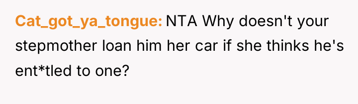 Cat_got_ya_tongue NTA Why doesn't your stepmother loan him her car...