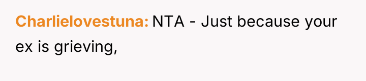 Charlielovestuna NTA - Just because your ex is grieving,