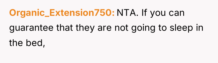 Organic_Extension750 NTA. If you can guarantee that they are not...