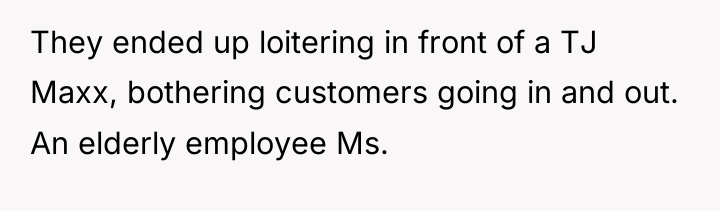 They ended up loitering in front of a TJ Maxx,...