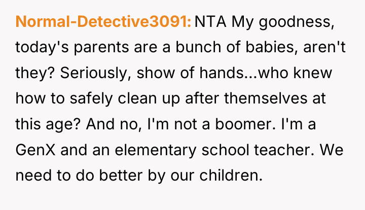 Normal-Detective3091 NTA My goodness, today's parents are a bunch of...