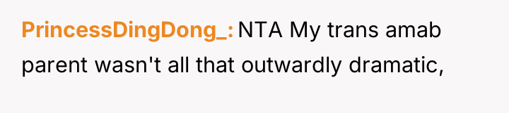 PrincessDingDong_ NTA My trans amab parent wasn't all that outwardly...