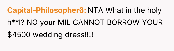 Capital-Philosopher6 NTA What in the holy h**l? NO your MIL...