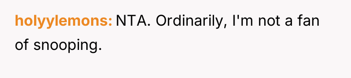 holyylemons NTA. Ordinarily, I'm not a fan of snooping.