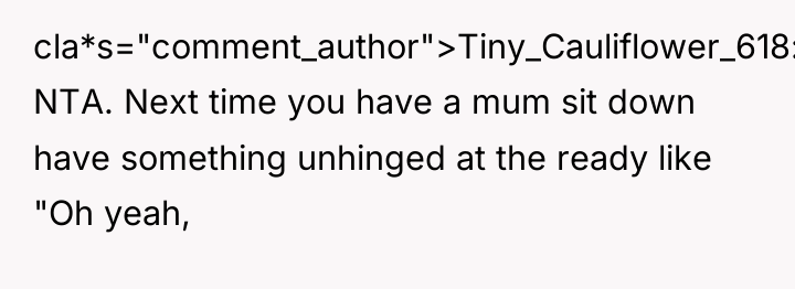 cla*s="comment_author">Tiny_Cauliflower_618: NTA. Next time you have a mum sit down...