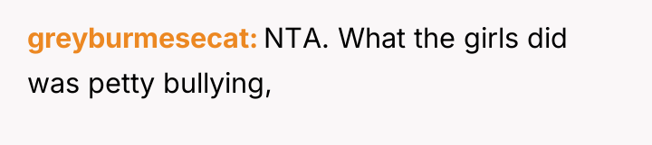 greyburmesecat NTA. What the girls did was petty bullying,