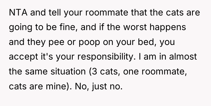 NTA and tell your roommate that the cats are going...