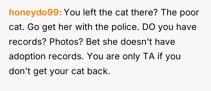 honeydo99 You left the cat there? The poor cat. Go...