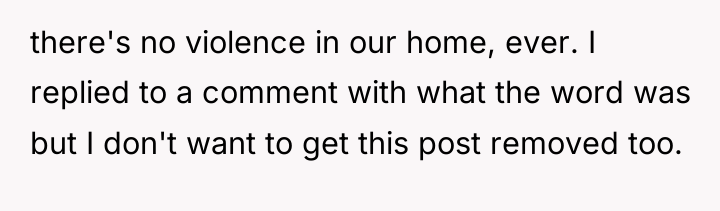 there's no violence in our home, ever. I replied to...