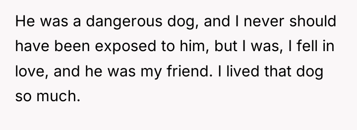 He was a dangerous dog, and I never should have...