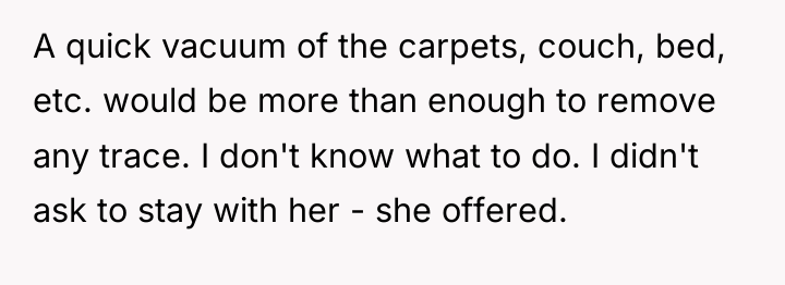 A quick vacuum of the carpets, couch, bed, etc. would...