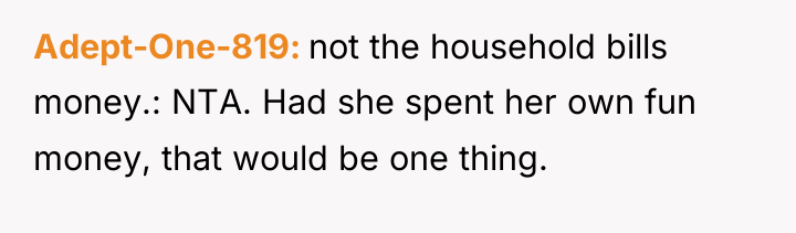 Adept-One-819 not the household bills money.: NTA. Had she spent...