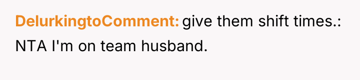 DelurkingtoComment give them shift times.: NTA I'm on team husband.