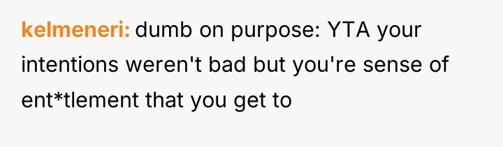 kelmeneri dumb on purpose: YTA your intentions weren't bad but...
