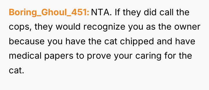 Boring_Ghoul_451 NTA. If they did call the cops, they would...