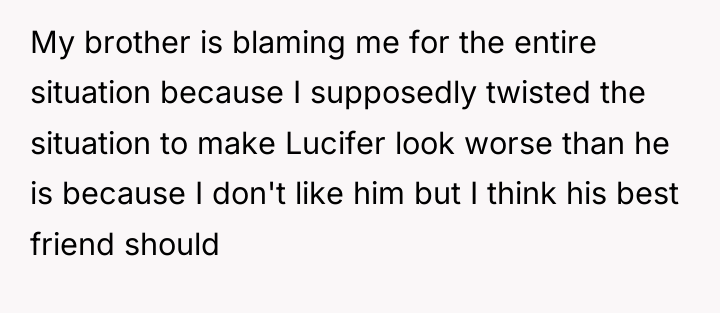 My brother is blaming me for the entire situation because...