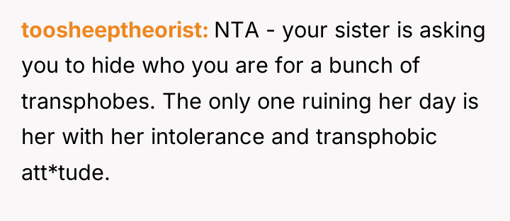 toosheeptheorist NTA - your sister is asking you to hide...