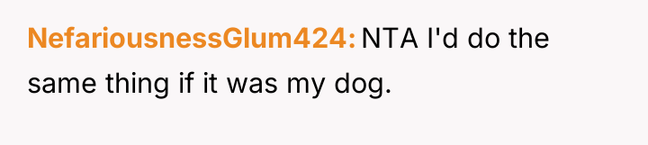 NefariousnessGlum424 NTA I'd do the same thing if it was...
