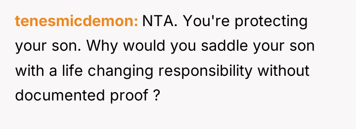 tenesmicdemon NTA. You're protecting your son. Why would you saddle...