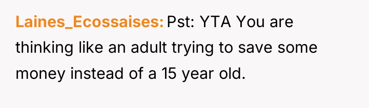 Laines_Ecossaises Pst: YTA You are thinking like an adult trying...