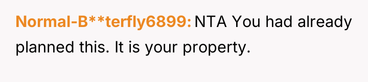 Normal-B**terfly6899 NTA You had already planned this. It is your...