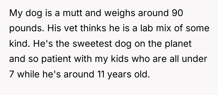 My dog is a mutt and weighs around 90 pounds....