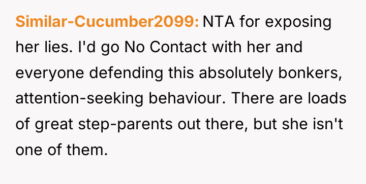 Similar-Cucumber2099 NTA for exposing her lies. I'd go No Contact...