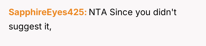 SapphireEyes425 NTA Since you didn't suggest it,