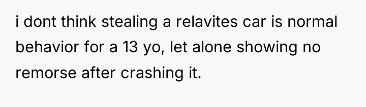i dont think stealing a relavites car is normal behavior...