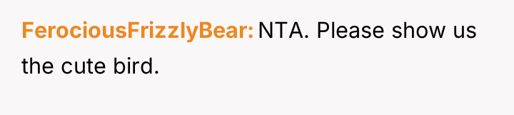 FerociousFrizzlyBear NTA. Please show us the cute bird.